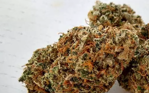 Beste CBD-Bluten zum Vaporisieren